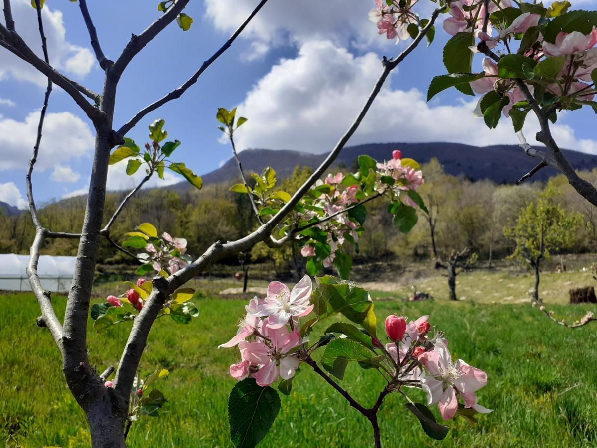Cà Gennara Agri B&B Porretta Terme Bagian luar foto