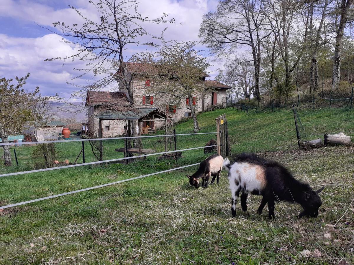 Cà Gennara Agri B&B Porretta Terme Bagian luar foto