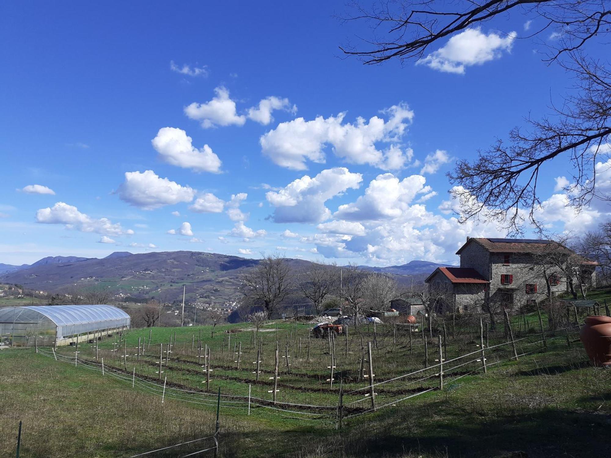 Cà Gennara Agri B&B Porretta Terme Bagian luar foto
