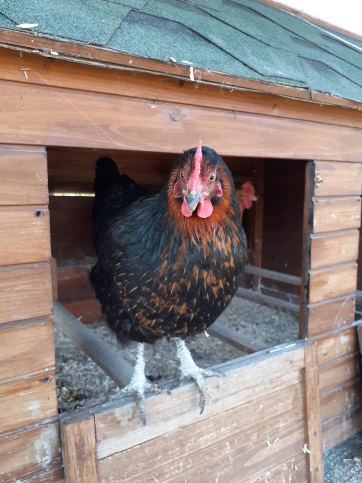 Cà Gennara Agri B&B Porretta Terme Bagian luar foto