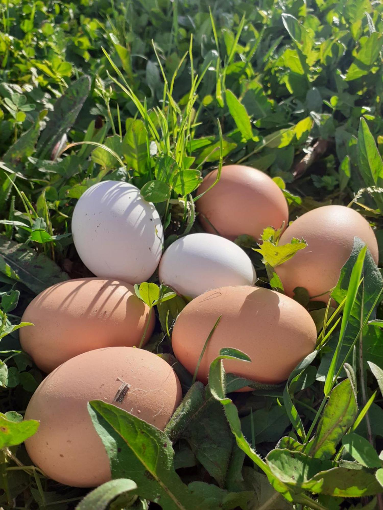 Cà Gennara Agri B&B Porretta Terme Bagian luar foto